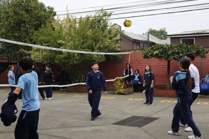 Día de la Actividad Física